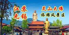 www.干b江苏无锡灵山大佛旅游风景区