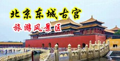 骚妇喷潮视频中国北京-东城古宫旅游风景区